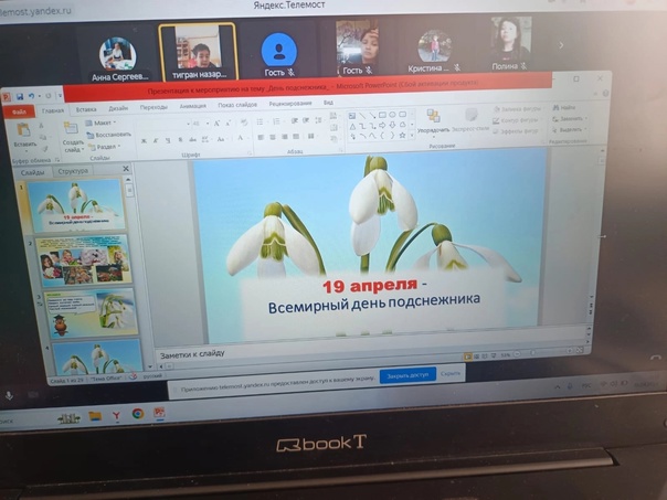День подснежника.